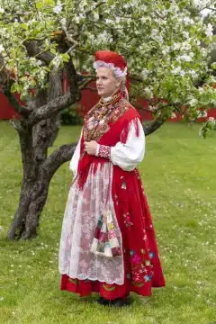 Lihula naise rahvarõivad, 20. saj algus