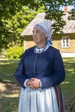Suure-Jaani naise rahvarõivad, 19. saj II pool