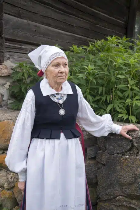 Suure-Jaani naise rahvarõivad, 19. saj II pool
