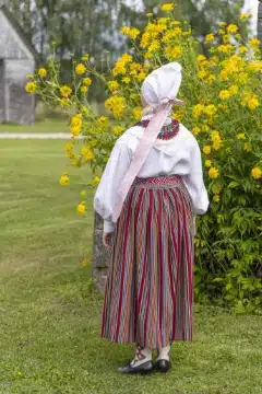 Suure-Jaani naise rahvarõivad, 19. saj II pool