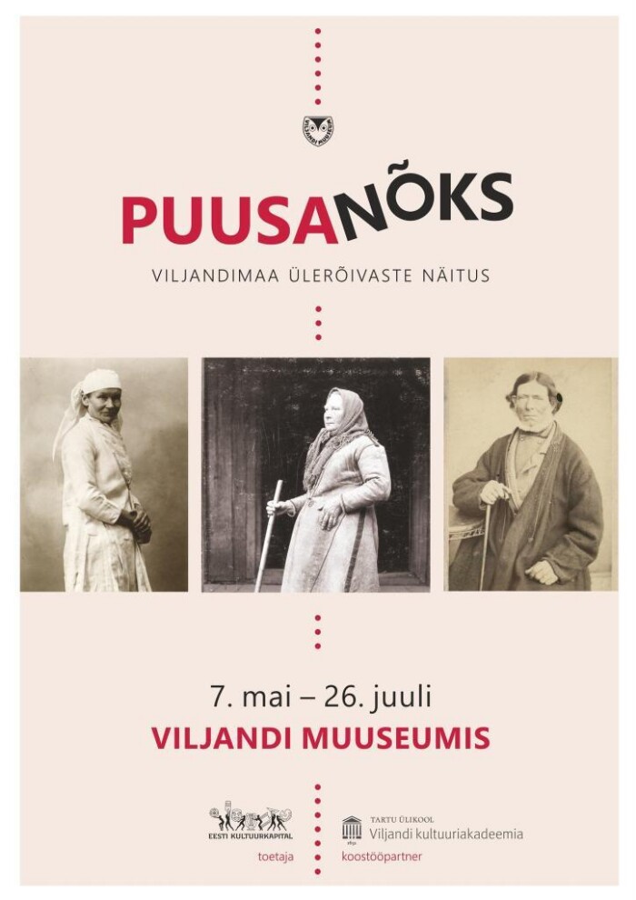 Puusanõks